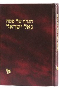 הגדה של פסח גאל ישראל / רבי ישראל זאב הורוביץ זצ