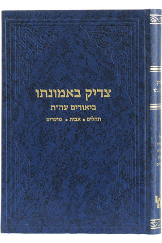 צדיק באמונתו / רבי צבי אלימלך הרצברג