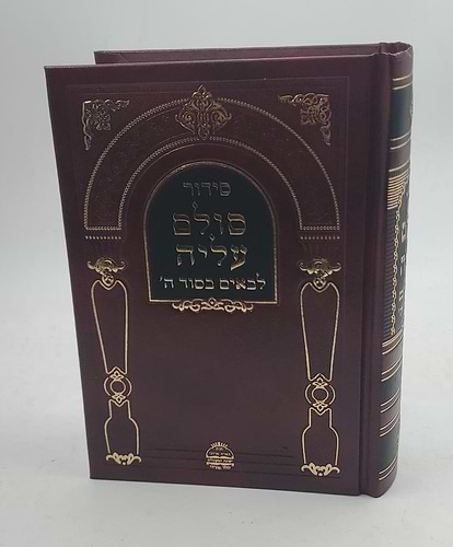 סידור סולם עליה