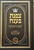 צפנת פענח לגאון הרוגוצ'ובר - מסכת בבא מציעא / מכון המאור