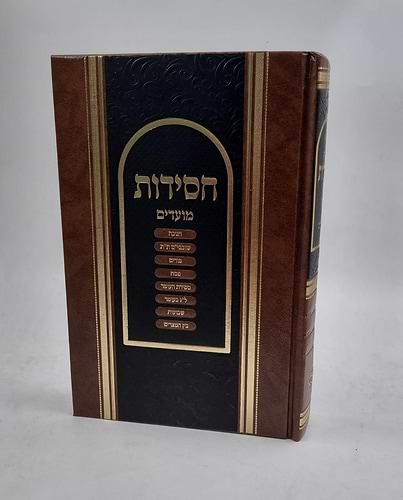 קונטרסי החסידות - מועדים ב'