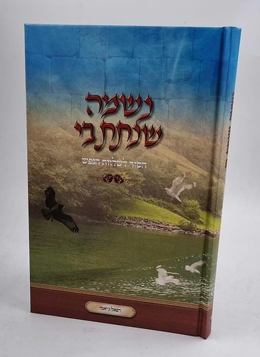 נשמה שנתת בי - הסוד לשלוות נפש / הרב רפאל ג'יאמי