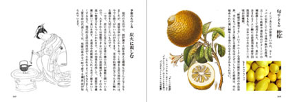 小雪　第五十九候「朔風払葉（きたかぜ　このはを　はらう）」より、旬のくだもの／季節のたのしみ