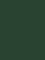 Touch Up Paint - Hybrid Green