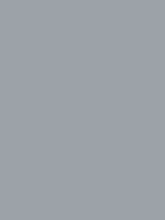 Touch Up Paint - CGR AL e Grey