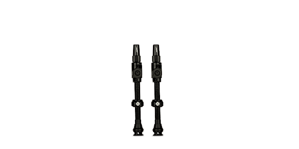 Big Bore Lite Tubeless Valves