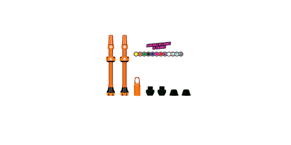 Tubeless Valves V2