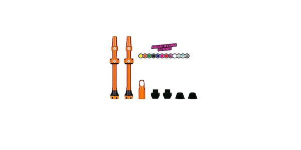 Tubeless Valves V2
