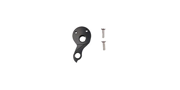 Allroad Ti Rear Derailleur Hanger