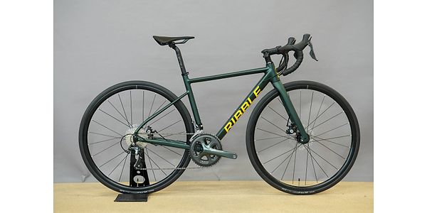 Endurance AL Disc - Custom Colour - Shimano Tiagra - XS