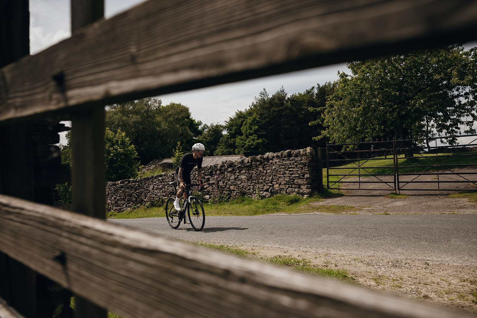 Best Road Bikes for Beginners: A Complete Guide