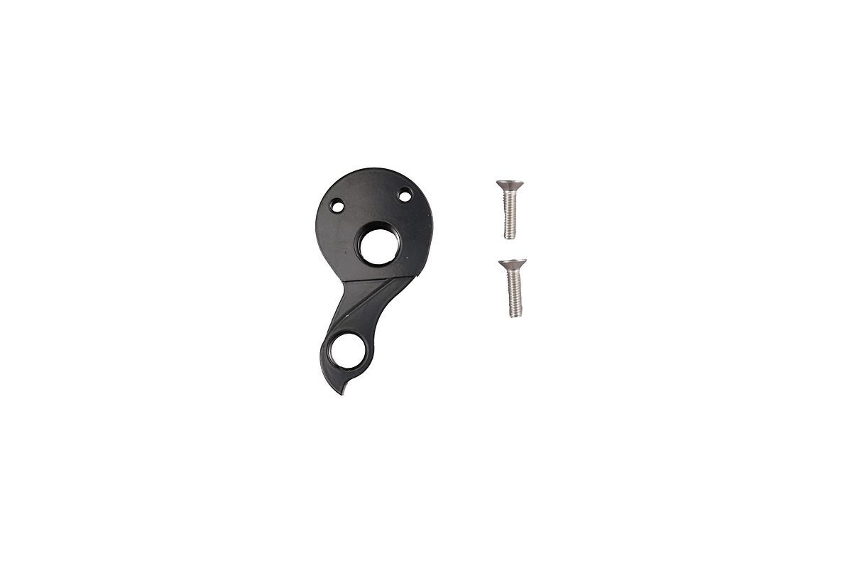 Allroad Ti Rear Derailleur Hanger