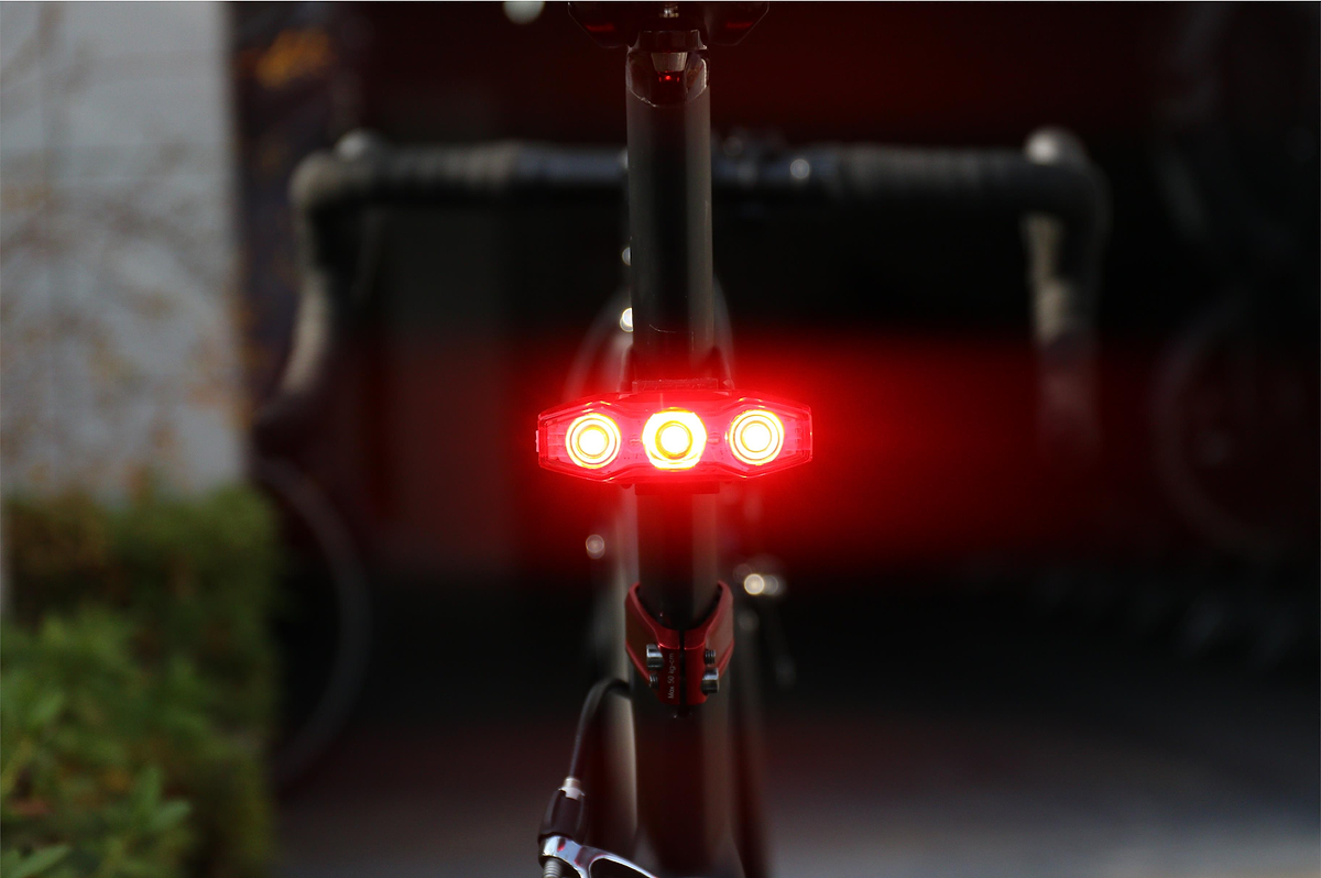 VIZ 300 Rear Light