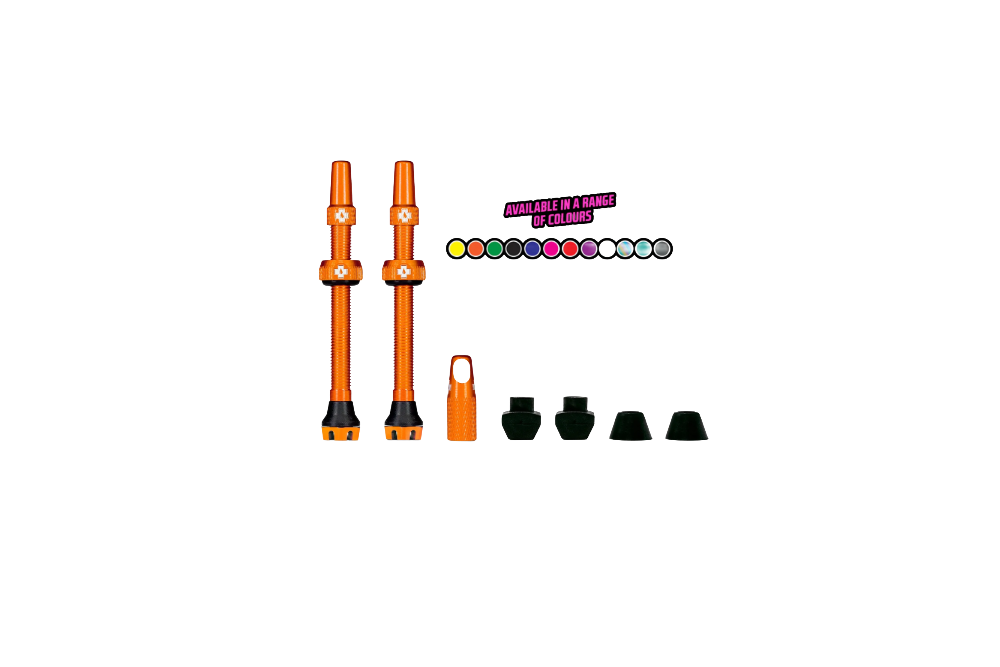 Tubeless Valves V2