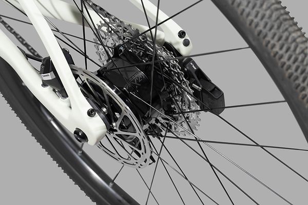 Electric Motor System