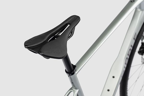 Saddle