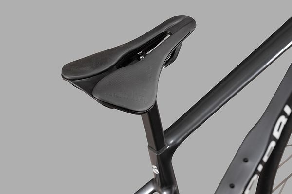 Saddle