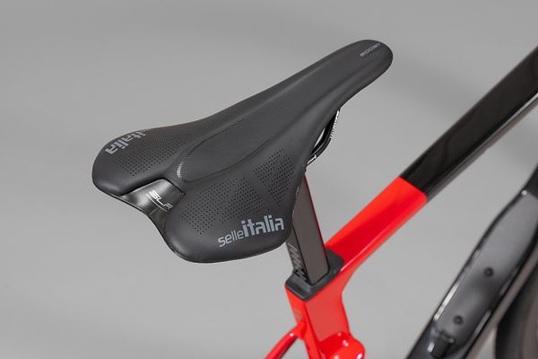 Saddle