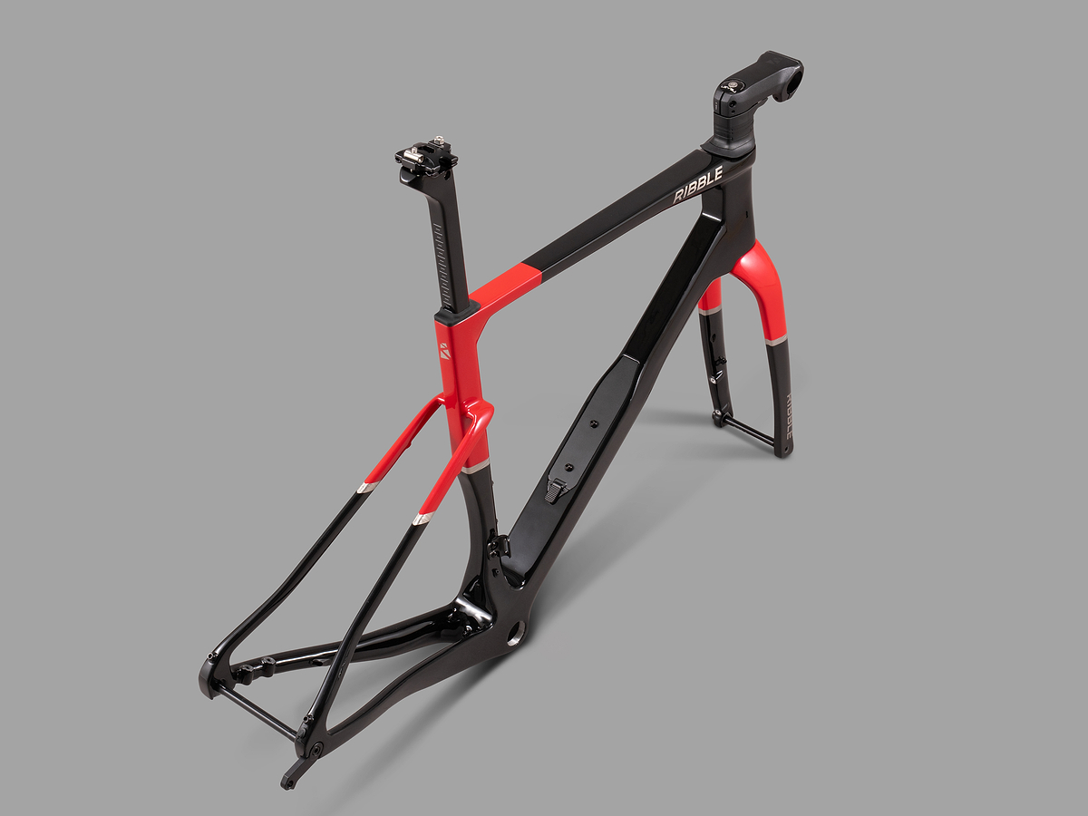 Allroad SL R Frameset image 3