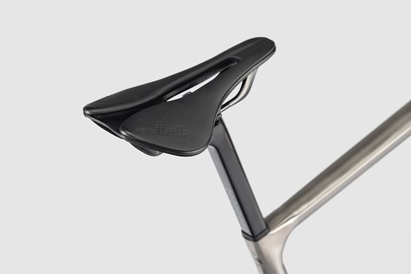 Saddle