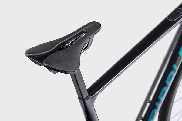 Saddle