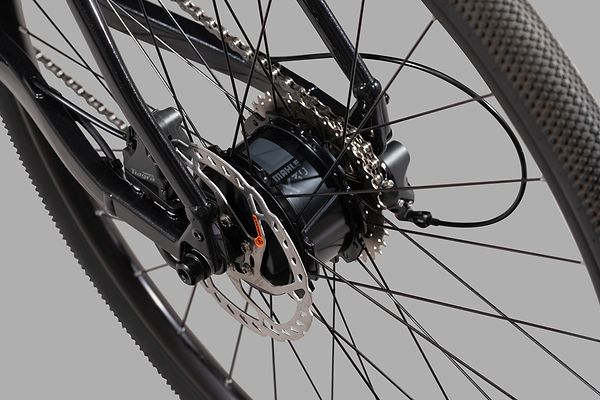 Electric Motor System