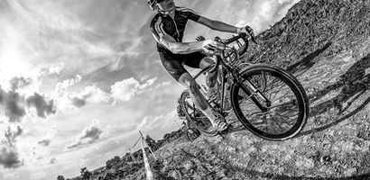 Joe Fox Showroom Manager - Staff Rider Stories