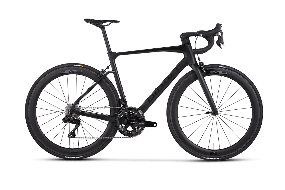 Endurance SL R - Pro