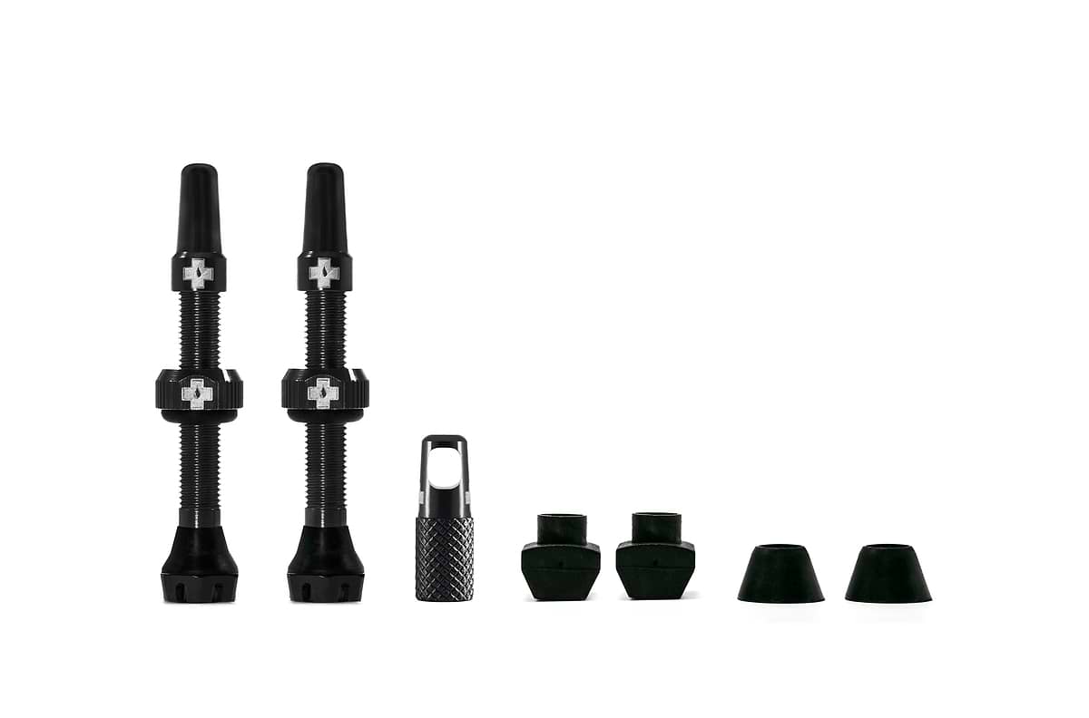 Tubeless Valves V2