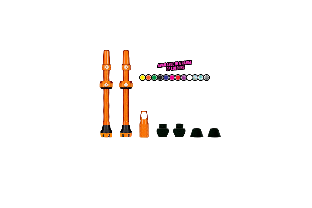 Tubeless Valves V2