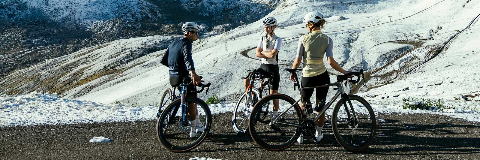 Ribble Partners