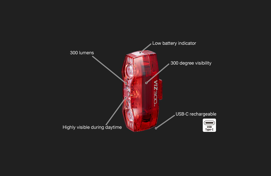 VIZ 300 Rear Light