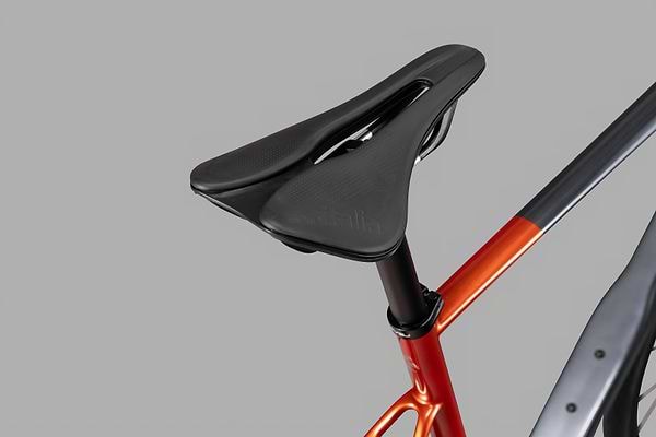 Saddle