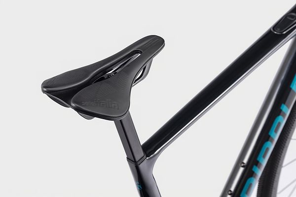 Saddle