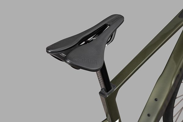 Saddle