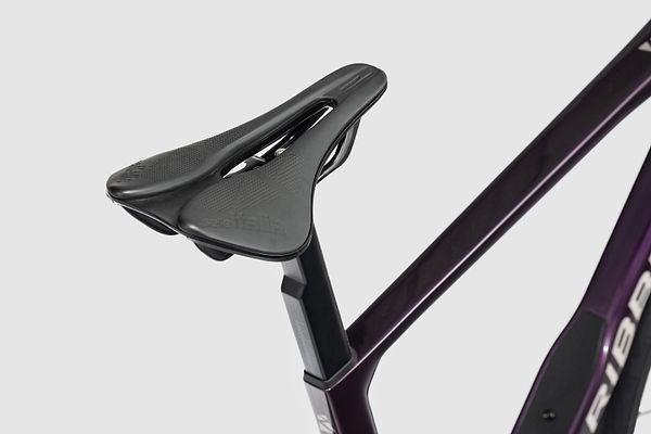 Saddle
