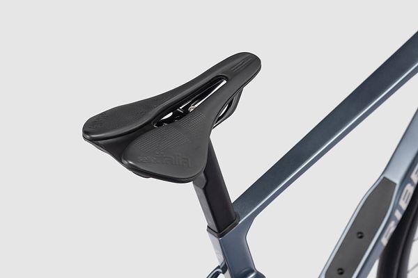 Saddle