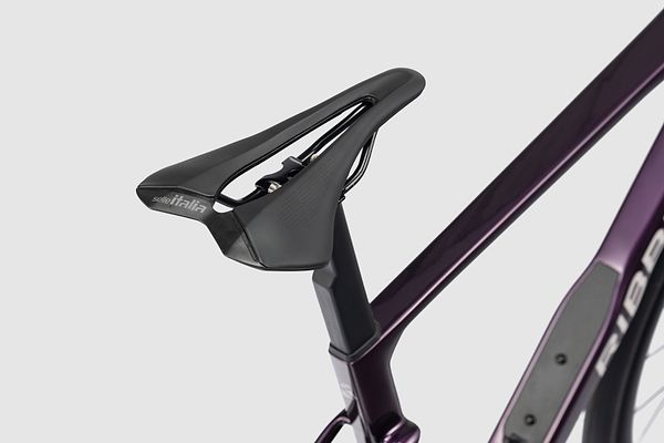 Saddle