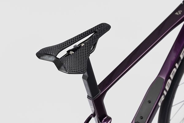 Saddle