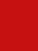 Touch Up Paint - Endurance SL Red