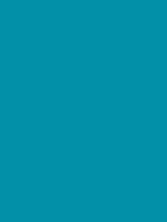 Touch Up Paint Endurance SL Teal