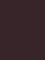 Touch Up Paint - Hybrid Berry