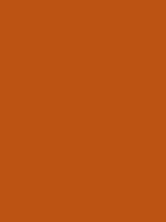 Touch Up Paint - Hybrid Copper
