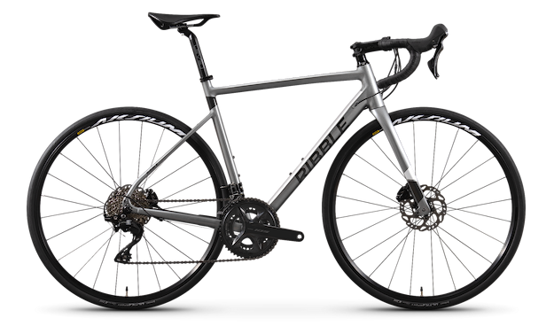 Endurance AL Disc