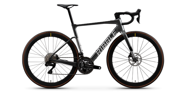 Endurance SL e