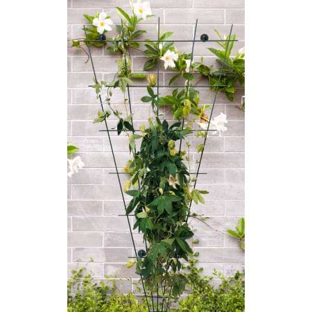 vifte espalier