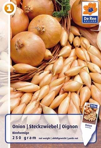 Sætteløg Onion Birnformige
