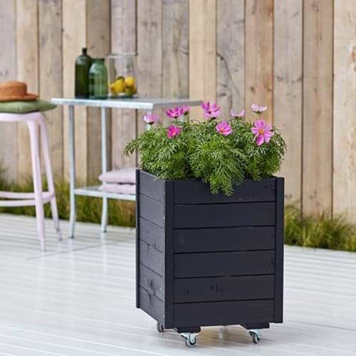 Sort blomsterkasse