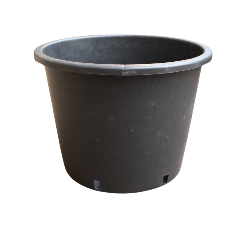 15 l potte 