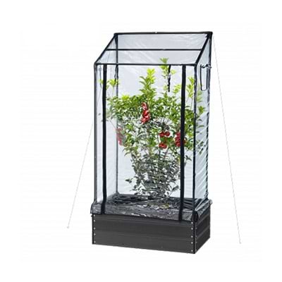 minidrivhus til planter